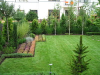 Ogrod-rysowany-kreska-01_thumb