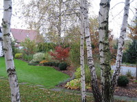 Ogrod-grodzisk-04_thumb
