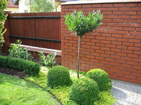 Ogrod-grodzisk-09_thumb