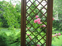 Img_0310_thumb
