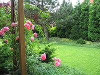 Img_0313_thumb