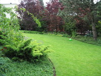Img_0315_thumb