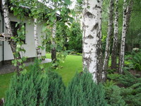 Img_0324_thumb