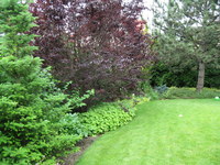 Img_0330_thumb