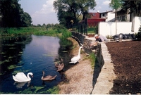 Ogrod-z-zapozyczonym-krajobrazem-12_thumb