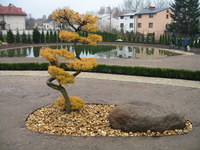 Img_0692_thumb