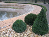 Img_0799_thumb