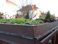 Img_0957_thumb