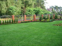 Zakladanie-trawnikow-12_thumb