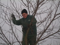 Img_3916_thumb