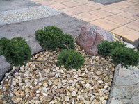 Img_0783_thumb