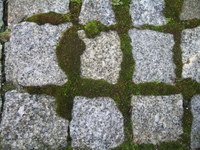 Img_4753_thumb