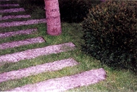 Skanuj0050_thumb