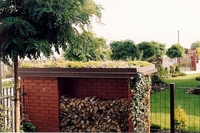Skanuj0028_thumb