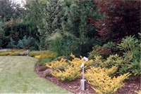 Ogrod-w-centrum-miasta-09_thumb