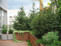 Img_6272_thumb