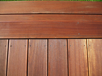 Img_6090_thumb