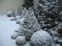 Img_4139_thumb