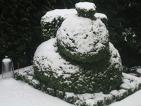 Img_4192_thumb