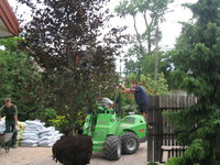 Img_5972_thumb