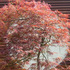 Thumb img 0004