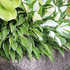 Thumb img 6766